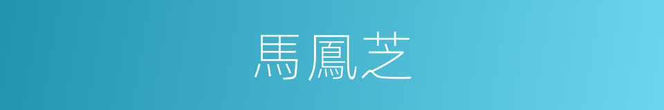 馬鳳芝的同義詞