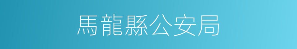 馬龍縣公安局的同義詞