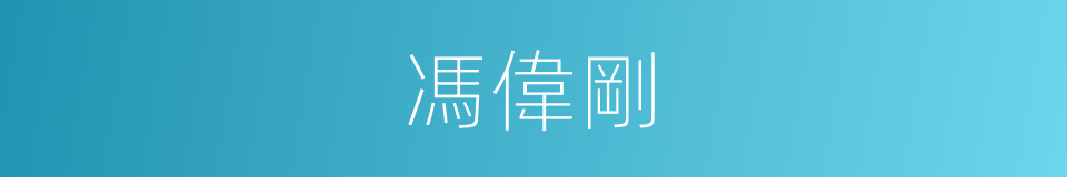 馮偉剛的同義詞