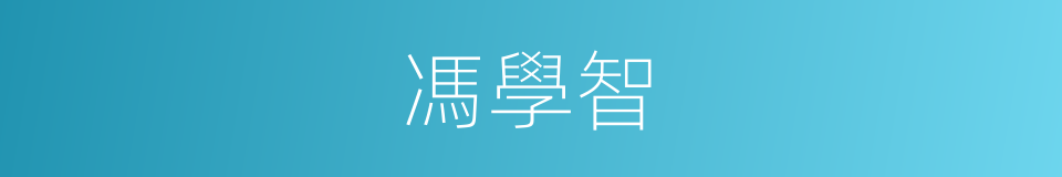 馮學智的同義詞