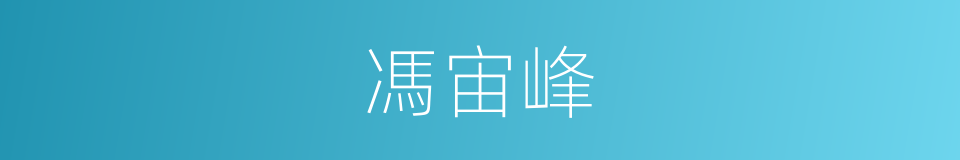馮宙峰的同義詞