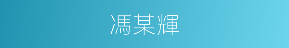 馮某輝的同義詞