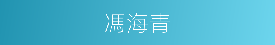 馮海青的同義詞