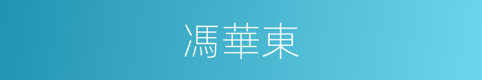 馮華東的同義詞