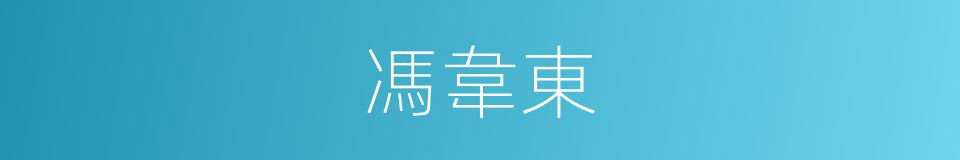 馮韋東的同義詞