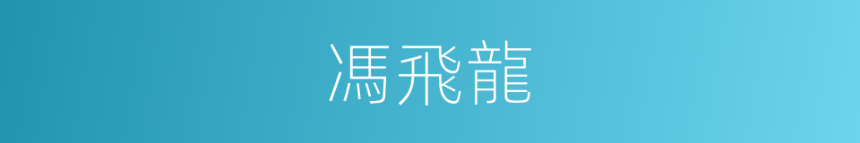 馮飛龍的同義詞