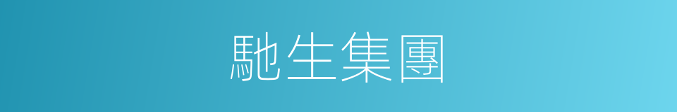 馳生集團的同義詞