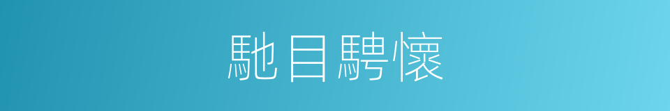 馳目騁懷的意思