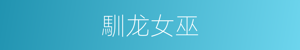 馴龙女巫的同義詞