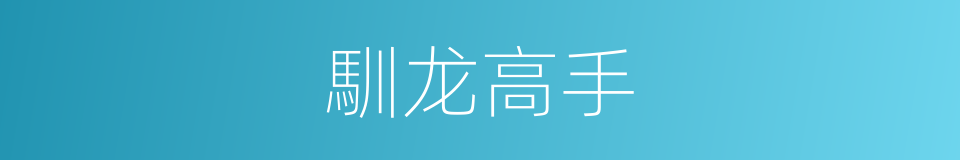 馴龙高手的同義詞