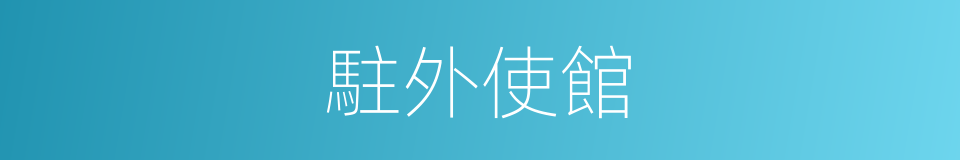 駐外使館的同義詞