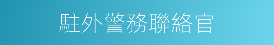 駐外警務聯絡官的同義詞