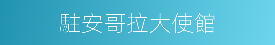 駐安哥拉大使館的同義詞