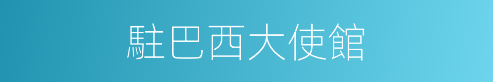 駐巴西大使館的同義詞