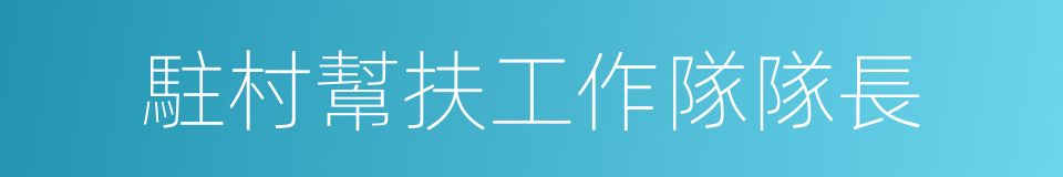 駐村幫扶工作隊隊長的同義詞