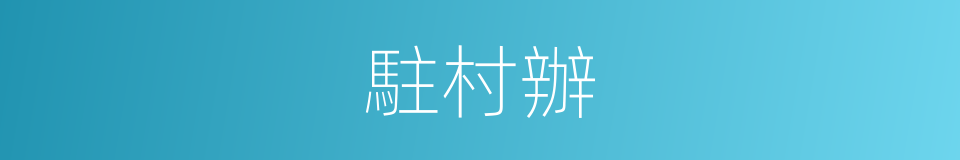駐村辦的同義詞