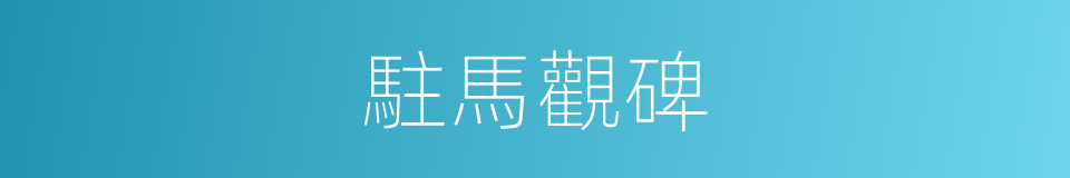 駐馬觀碑的同義詞