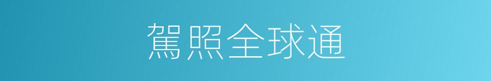 駕照全球通的同義詞