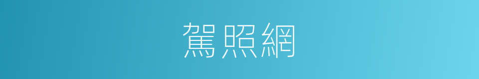 駕照網的同義詞