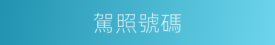 駕照號碼的同義詞