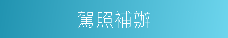駕照補辦的同義詞