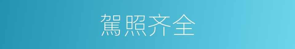 駕照齐全的同義詞