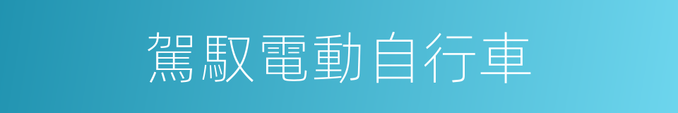 駕馭電動自行車的同義詞