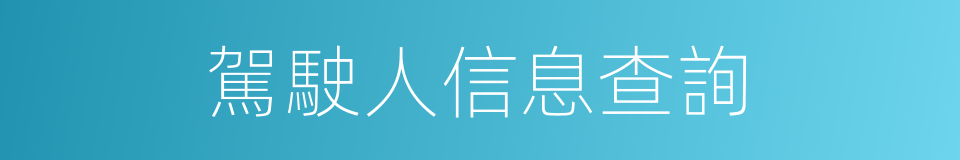 駕駛人信息查詢的同義詞