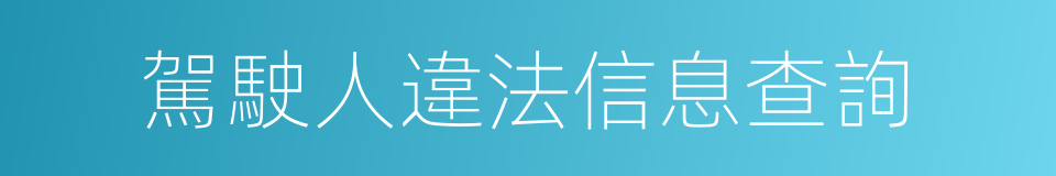 駕駛人違法信息查詢的同義詞