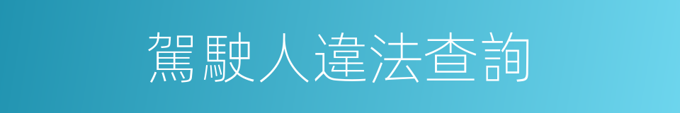 駕駛人違法查詢的同義詞