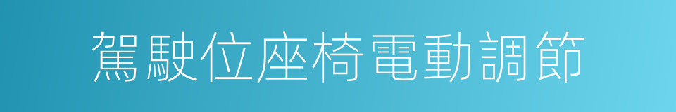 駕駛位座椅電動調節的同義詞