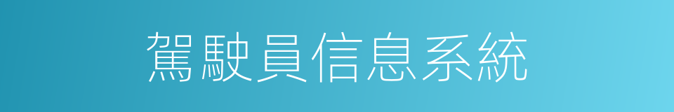 駕駛員信息系統的同義詞