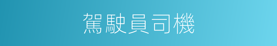 駕駛員司機的同義詞