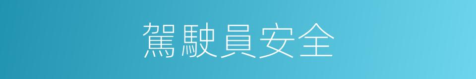 駕駛員安全的同義詞