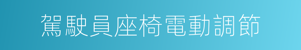 駕駛員座椅電動調節的同義詞