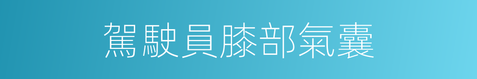 駕駛員膝部氣囊的同義詞