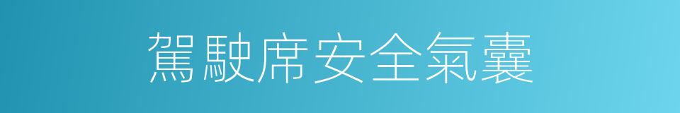 駕駛席安全氣囊的同義詞