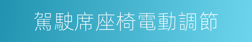 駕駛席座椅電動調節的同義詞