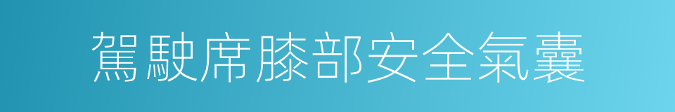 駕駛席膝部安全氣囊的同義詞