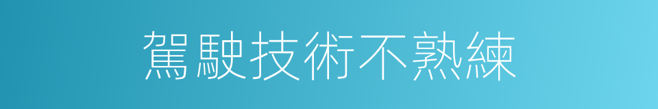 駕駛技術不熟練的同義詞