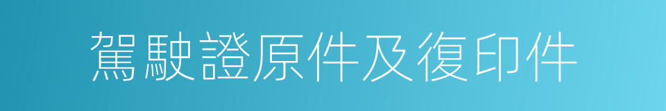 駕駛證原件及復印件的同義詞