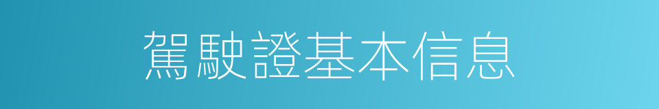 駕駛證基本信息的同義詞