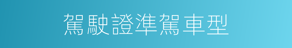 駕駛證準駕車型的同義詞