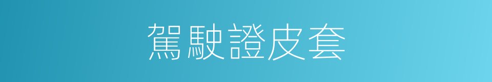 駕駛證皮套的同義詞