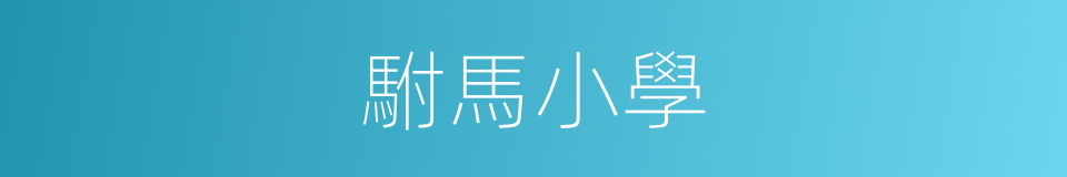 駙馬小學的同義詞