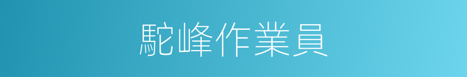 駝峰作業員的同義詞