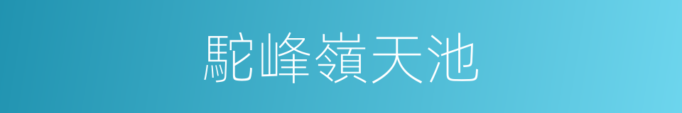 駝峰嶺天池的同義詞