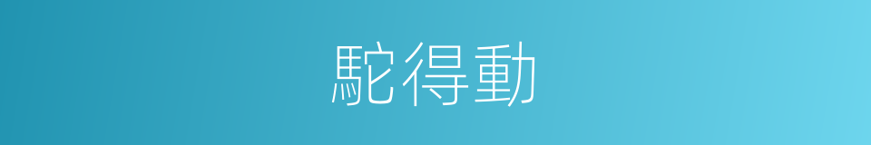 駝得動的同義詞