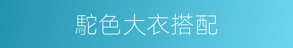 駝色大衣搭配的同義詞