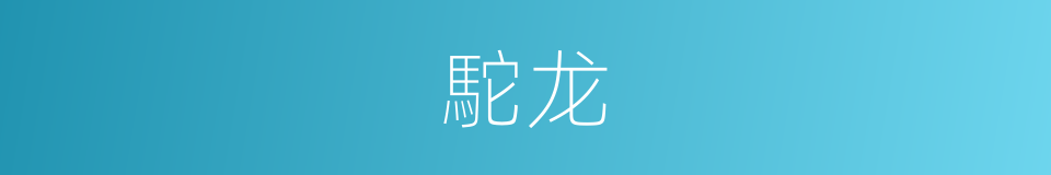 駝龙的同義詞